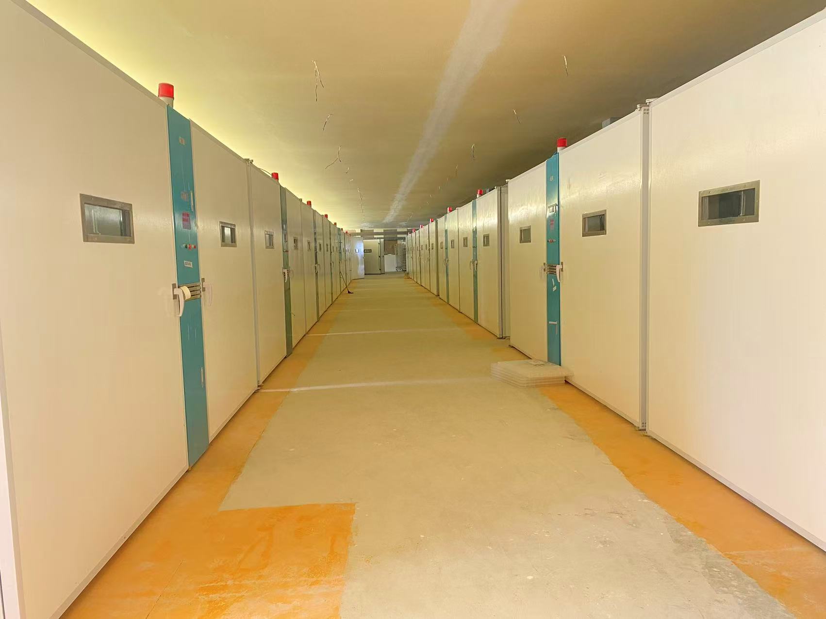 Latest company blogs about ケニアの繁殖場は20つの単段階インキュベーターで継続的な供給と地域支援を優先