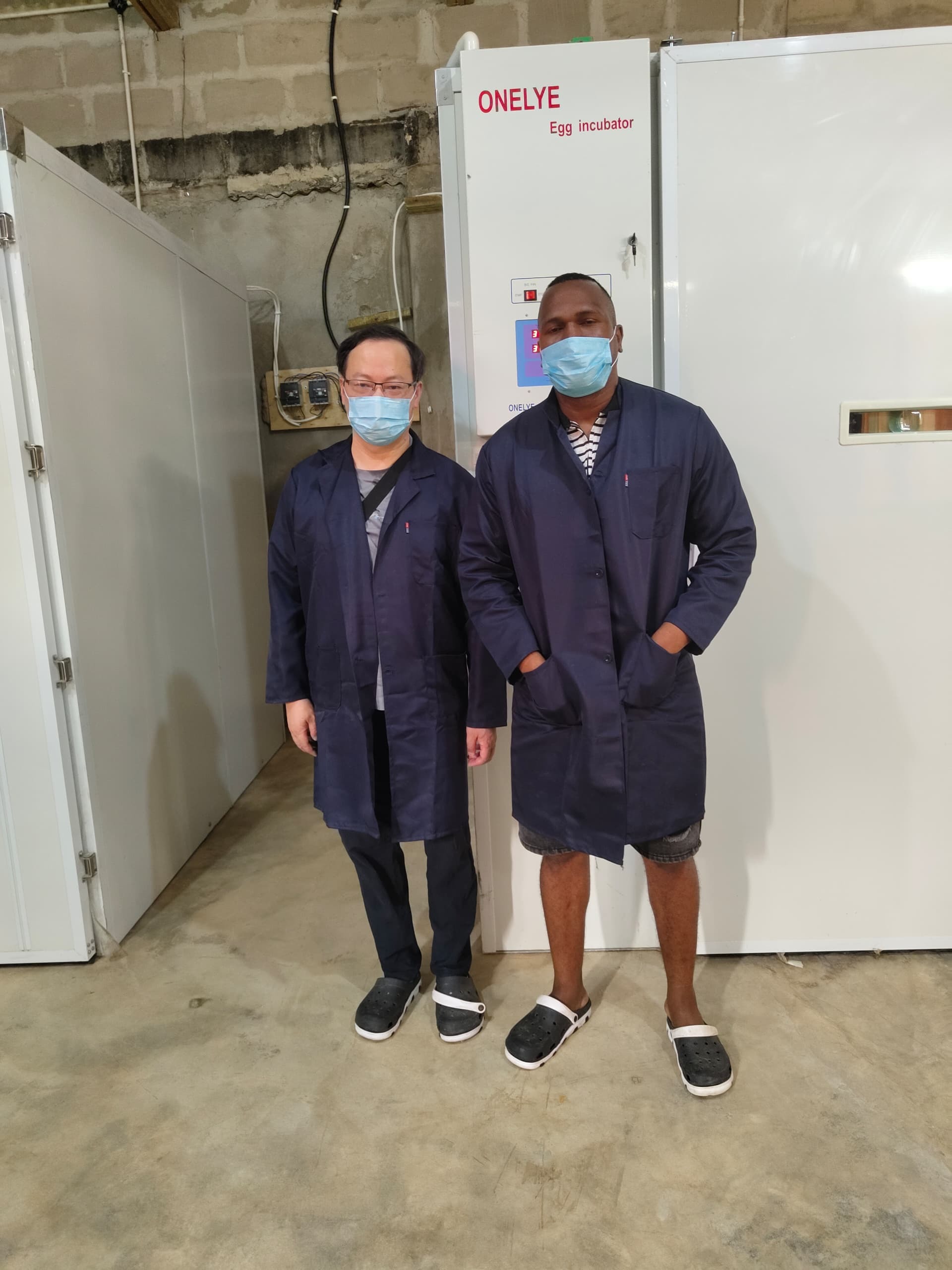 最新の企業ブログについて エチオピア高地の昼夜の温度変動が孵化の偏りを引き起こす：家禽孵卵器のための断熱と均一な空気流ソリューション