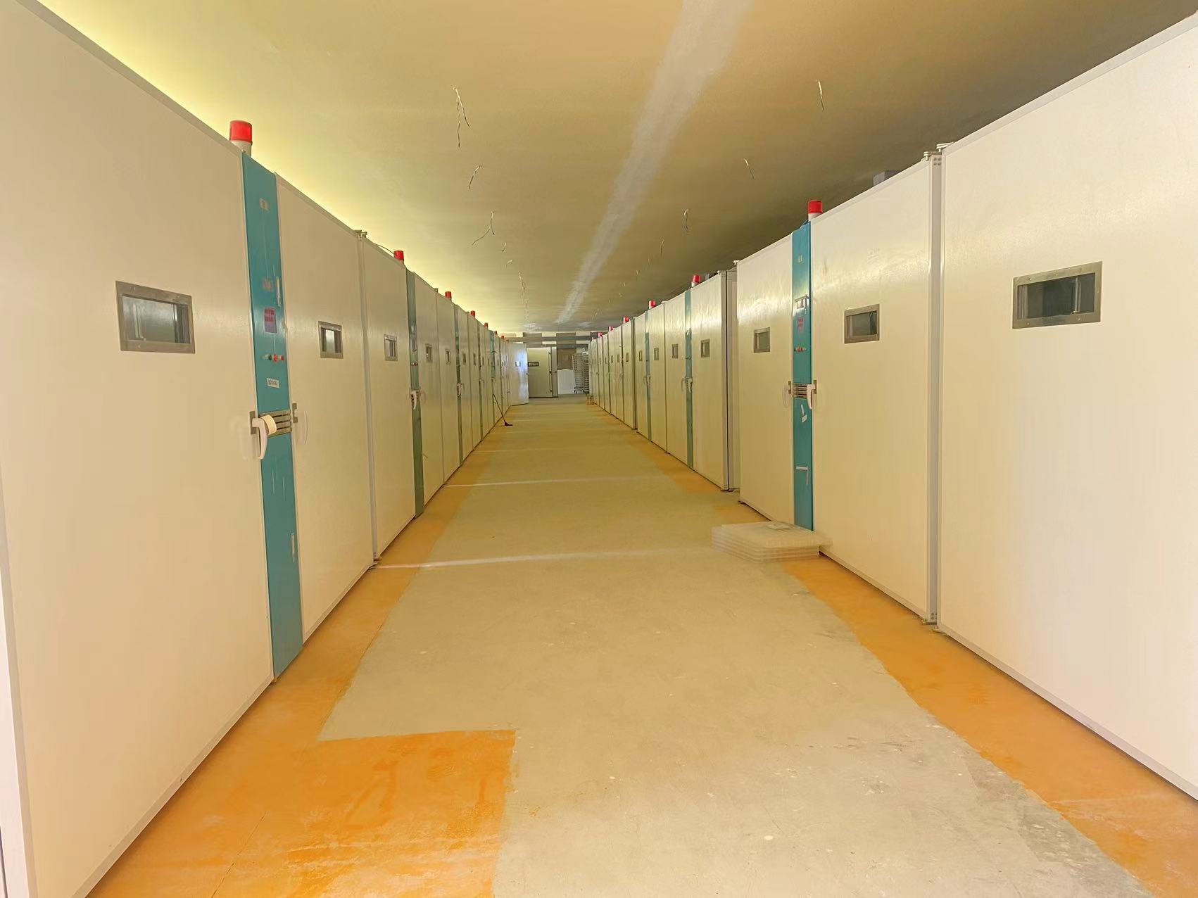 最新の企業ブログについて 耐久性のある家禽ソリューション：アフリカの孵化場がステンレス鋼とグラスファイバーELT-57600Sに切り替えている理由