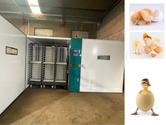 購入 19200の大規模の卵の定温器はアヒルの鳥の何もなしを孵化させる online manufacture