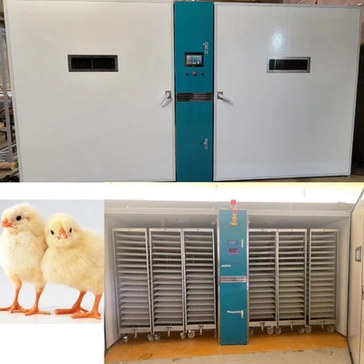 購入 ±3%RHの湿気の正確さの機械を工夫している220V/50Hz鶏 online manufacture