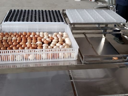 購入 テーブル装置機械の良否を明りにすかして調べる移動の商業自動卵 online manufacture