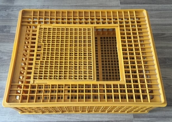 購入 鳥小屋の付属品は家禽の鶏のプラスチックおり732x534x260mmを運ぶ online manufacture