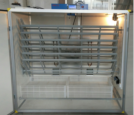 購入 キジの定温器2000の卵 online manufacture