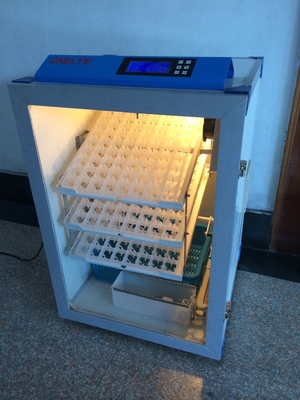 購入 350Wを回しているウズラ500の卵容量の定温器のフル オートの自己 online manufacture