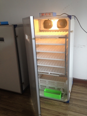 購入 300匹のカメの鶏の卵の自己の回転定温器のための小さい家禽の卵の定温器 online manufacture