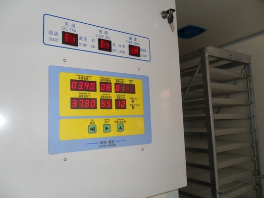 購入 商業産業鶏の定温器機械7168何もなし5.5kw online manufacture