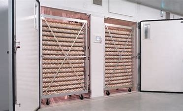 購入 卵ターナーが付いている理性的な31824羽の卵のウズラの単段の定温器 online manufacture