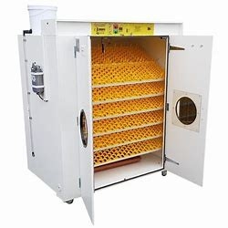 購入 31824の商業ウズラの卵の定温器の調節可能な自動ターナー熱 online manufacture