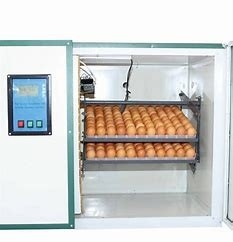 購入 90程度336ハト家禽の卵の定温器のHatcherのインテリジェント制御 online manufacture
