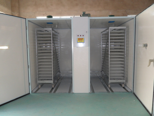 購入 Hatcherの31824のウズラの卵の単段の定温器3.8KW online manufacture