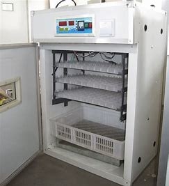 購入 200PCSジャンボ家禽の卵の定温器はセクション突き出た online manufacture