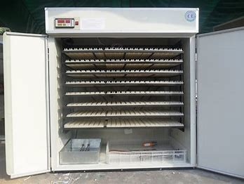 購入 336pcs産業鶏の卵の定温器90度の自己の回転 online manufacture