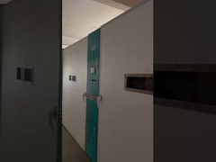 孵化の三段階は何ですか？